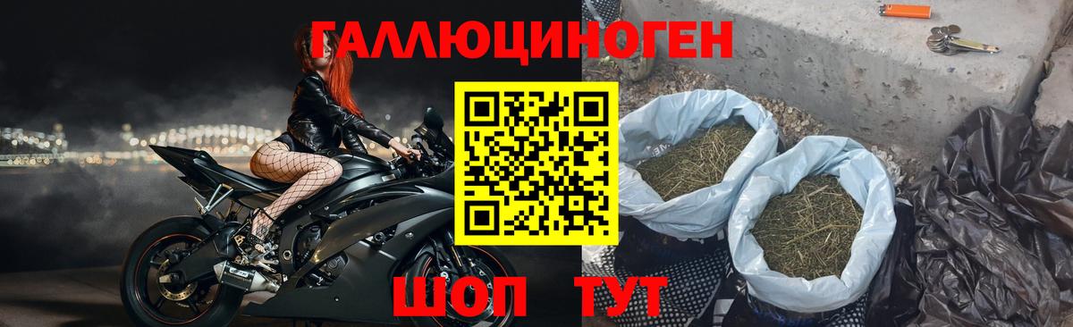 Галлюциногенные грибы ЛСД Приморско-Ахтарск